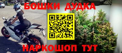 гашик Кулебаки