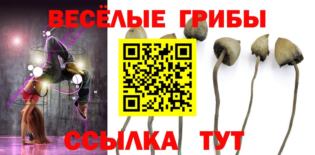 Псилоцибиновые грибы Magic Shrooms  Вход с VPN  Галлюциногенные грибы MAGIC MUSHROOMS  Ханты-Мансийск 